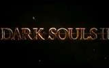 1355050822-dark-souls-2